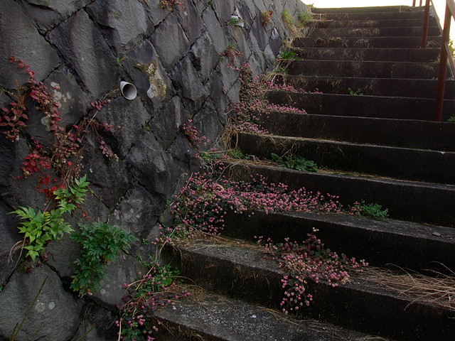 長崎市内の坂(階段)